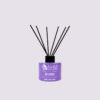 Aloe+ Colors Αρωματικό Χώρου με Sticks Be Lovely 100ml - Image 2