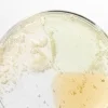 Beauty of Joseon Hanbang Serum Discovery Σετ Περιποίησης - Image 3