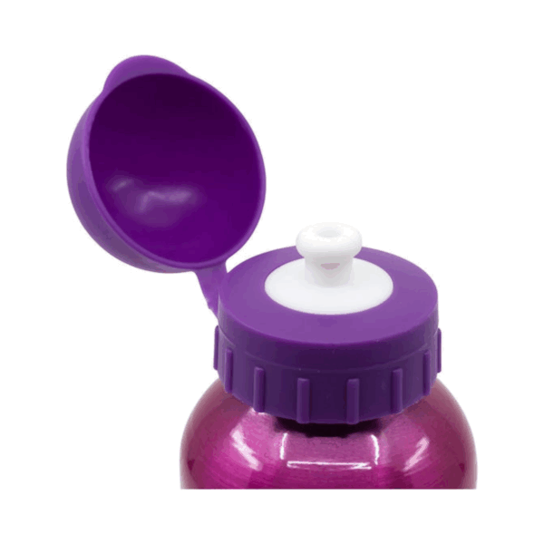 Stor Παιδικό Παγούρι Paw Patrol Αλουμινίου Ροζ 400ml - Image 3