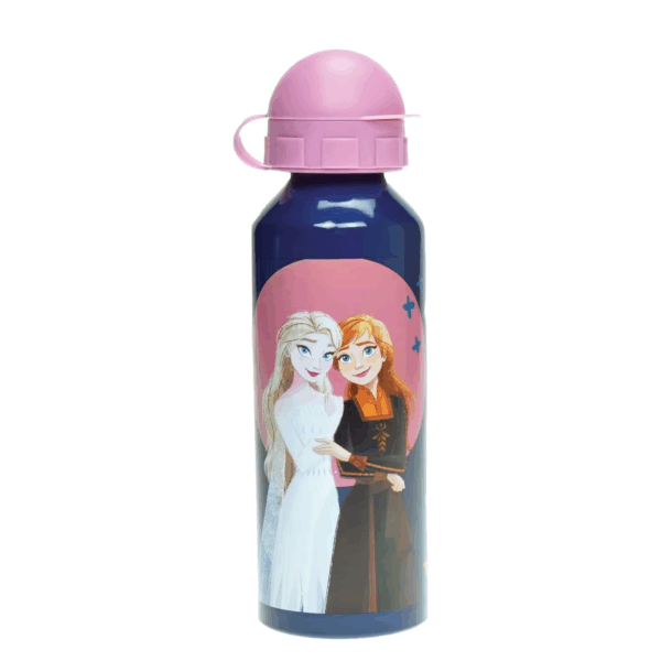 GIM Παγούρι Αλουμινίου 520Ml Frozen