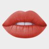 Lorin Liquid Lip Soft Matte #503 - Image 2