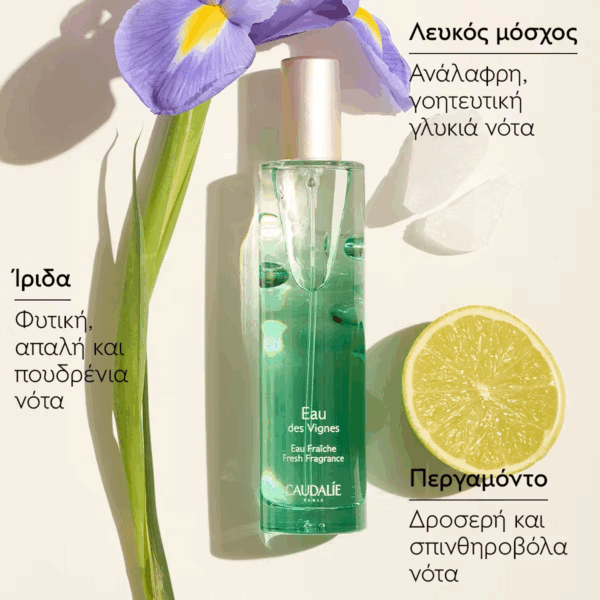 Caudalie Eau Des Vignes Εau Fraiche 50ml - Image 3