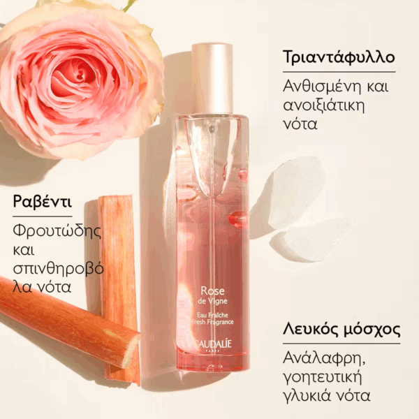 Caudalie Rose de Vigne Εau Fraiche 50ml - Image 2