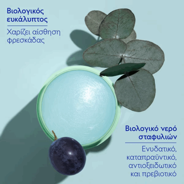 Caudalie Vinofresh Φυσικό Αποσμητικό 24h σε Stick Χωρίς Αλουμίνιο 50gr - Image 7