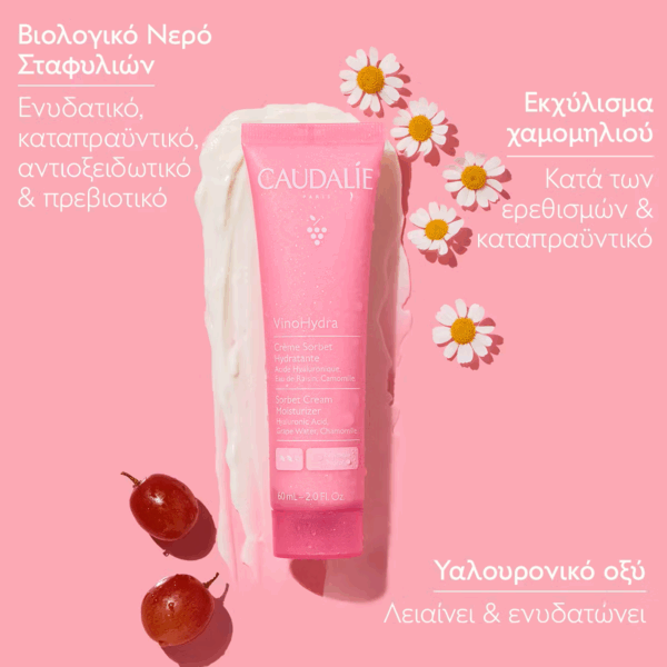 Caudalie Ενυδατική Κρέμα-Τζελ με Υαλουρονικό Οξύ για Κανονικές & Ευαίσθητες Επιδερμίδες 60ml - Image 6