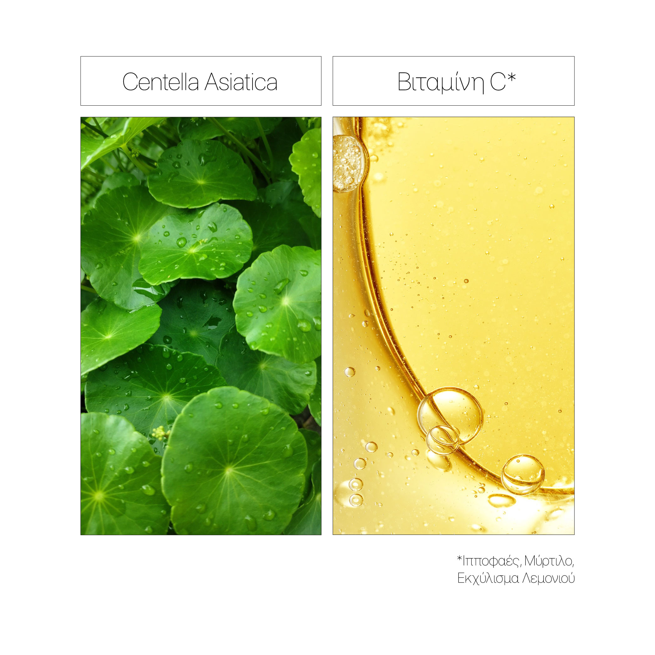 Natura Siberica C+Cica C-Berrica Pure Shine Τονωτική Λοσιόν 150ml - Image 4