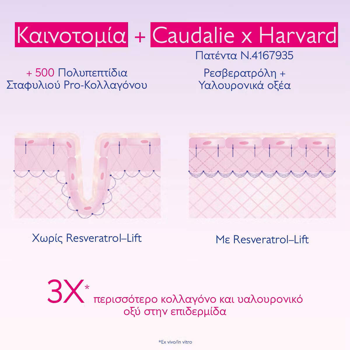 Caudalie Resveratrol-Lift Firming Night Cream Refill- Δοχείο αναπλήρωσης 50ml - Image 6